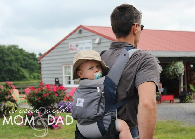 Nothing Sweeter than Blueberry-ing and Babywearing